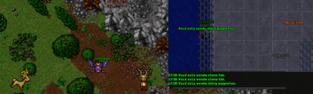 Greenish do server Silver observando os novos shiny's!